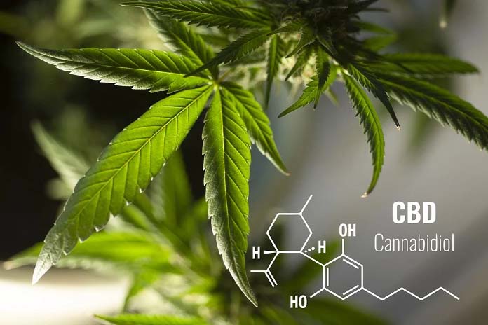 Can You Consider CBD As A Superfood?