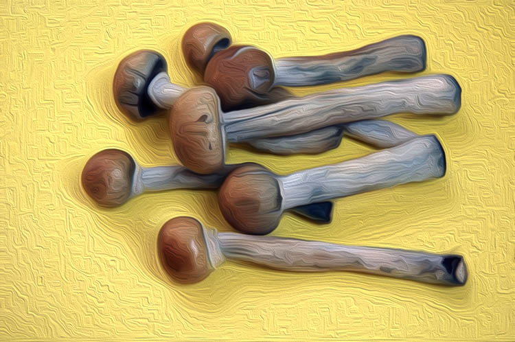 shrooms - How To Prep Up For Your First Shroom Experience