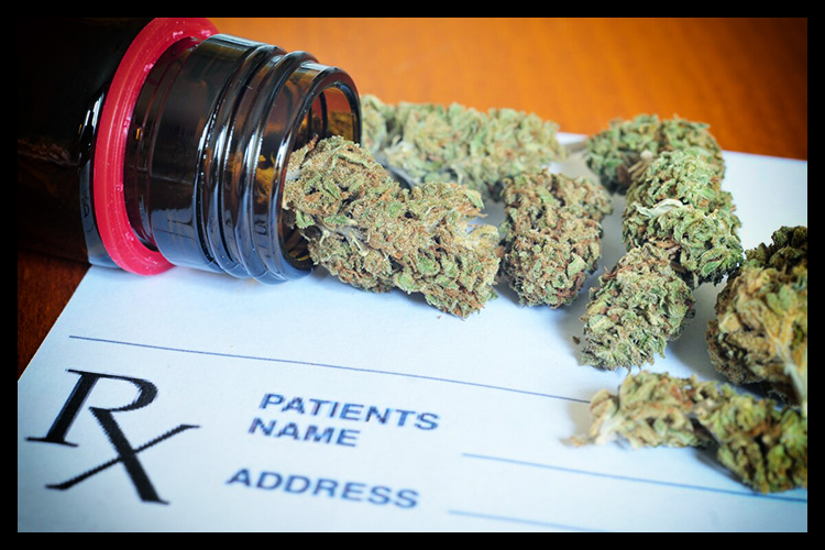 Medical Cannabis (Marijuana)