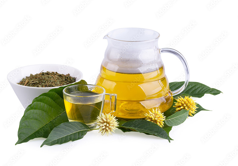 5 Natural Teas That are Must-Try for Everyone