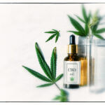 Does Extraordinary CBD Stay in Your System a Long Time?