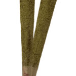 DeltaExtrax New Caviar Collection PreRolls Review