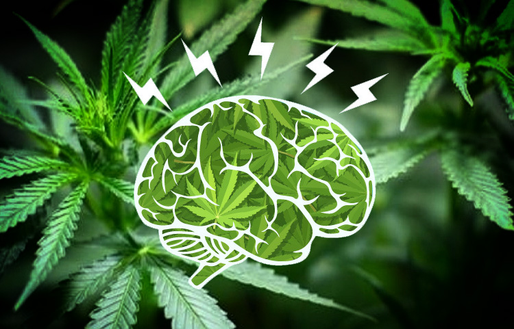 Finding Headache Relief with Weed?