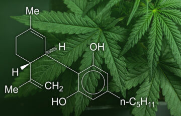How to Use CBD to Get the Most Effective Results?