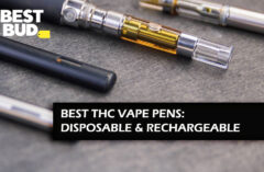 The Best THC Vape Pen Canada Has To Offer