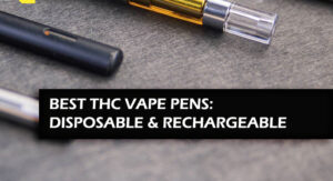 THE BEST THC VAPE PEN CANADA HAS TO OFFER 5 The Best THC Vape Pen Canada Has To Offer