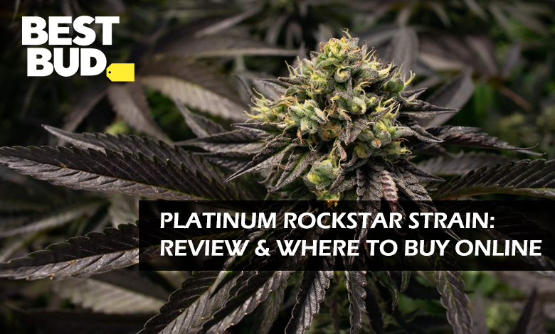 Where to Buy Platinum Rockstar Strain Online?