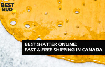 Where to Buy Shatter Online in Canada - buy-shatter-online-in-canada/
