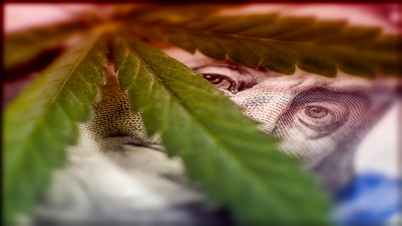 Cannabis Marketing – 5 Important Things You Need to Know