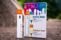 Box - Powerful Delta THC Goliath Starter Kit for Every Situation