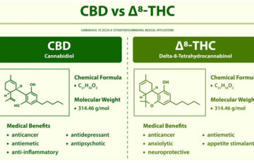Delta 8 vs. CBD for Pain Relief: What's Better for Treating Pain?