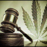 50 States, So Where is Cannabis Legal in the United States?