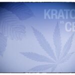 Exploring the Differences Between CBD, Hemp, and Kratom