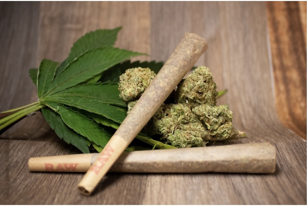 Best Delta 8 Flower: Top 3 Delta 8 THC Flower Strains In 2023