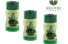 Could Kratom Help You? We Investigate!