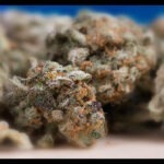 How to Make Your Weed Taste Better