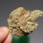 What Are Hybrid Cannabis Strains?