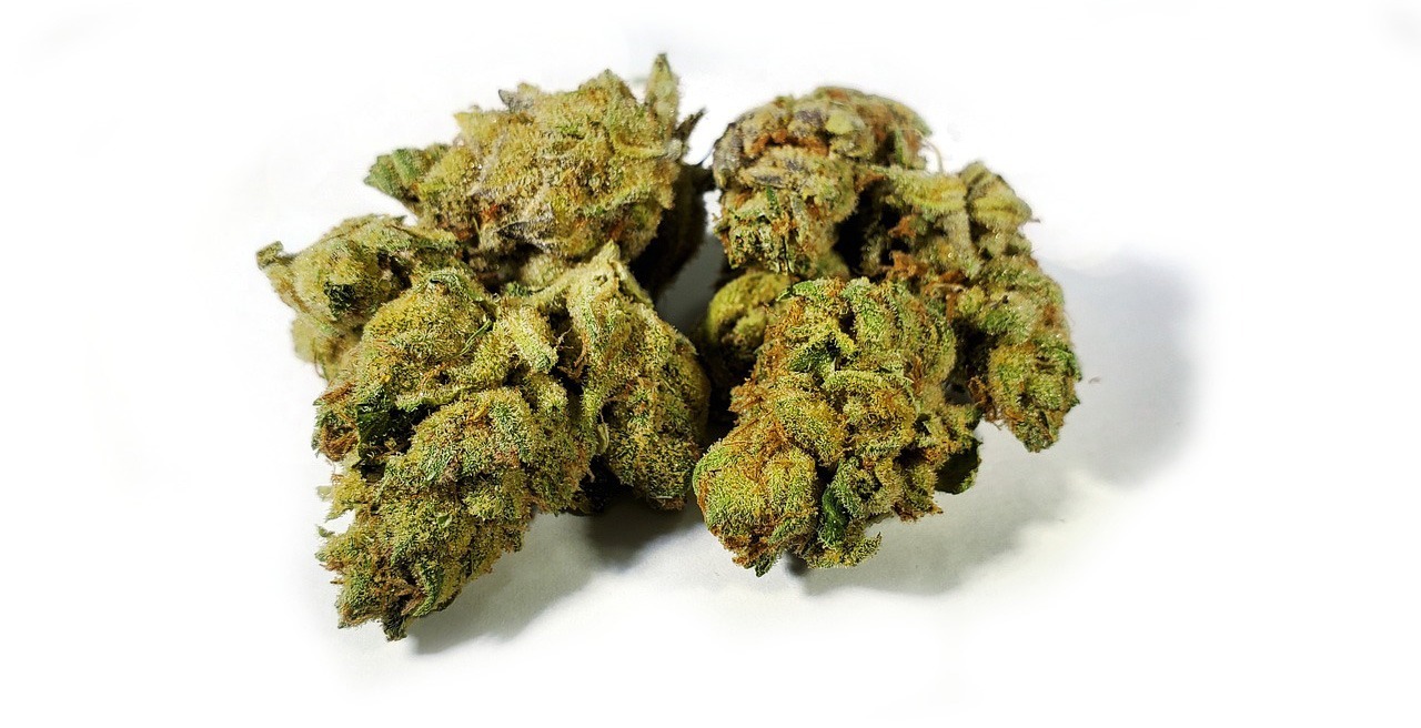 What Are Hybrid Cannabis Strains?