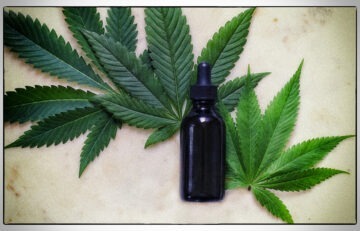 Why You Should Choose Organic CBD Products