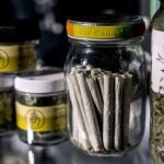 181670 Your Ultimate Guide To Cannabis Dispensaries, Head A Guide To Cannabis Dispensaries For Beginners