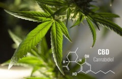 Different Ways Of Taking CBD To Help Treat Medical Conditions