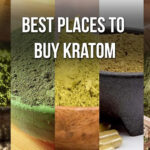 Best Green Malay Kratom Powder 2023- Top 4 Rated Kratom Vendors