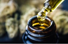 How Quality and Potency Matters When Choosing CBD products