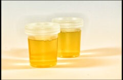 Best Synthetic Urine Kits – Top 5 Fake Pee Brands to Pass Drug Test