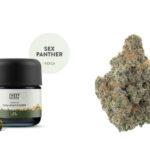 Best THCa Flower Of 2023