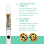 Delta-8 THC Carts – Are They Safe for Most People?