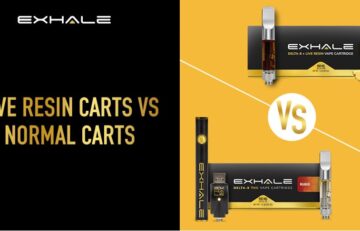 Normal vs Live Resin Vape Cartridges