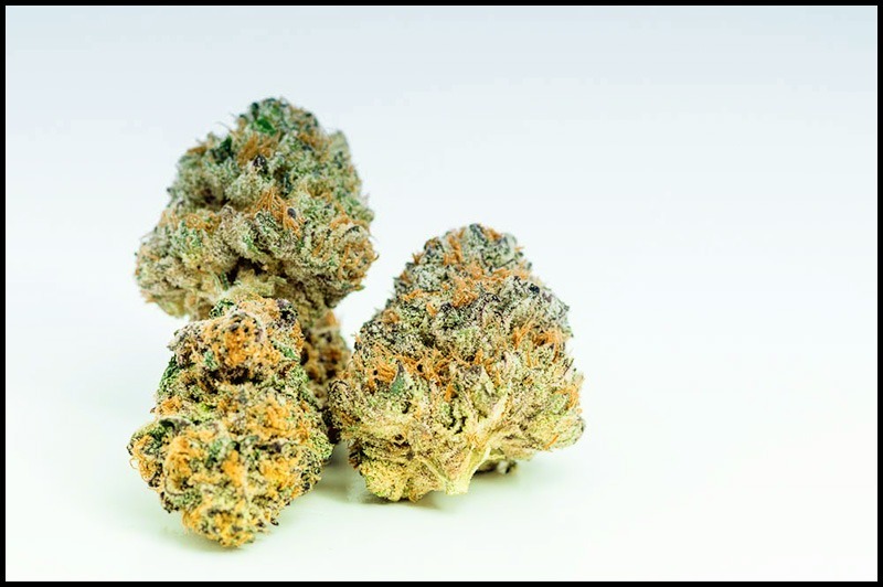 Slurricane Strain Potent and Delicious Cannabis A 2023 Review