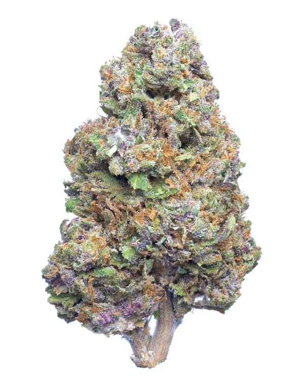 The Best THCa Flower Of 2023 Is…