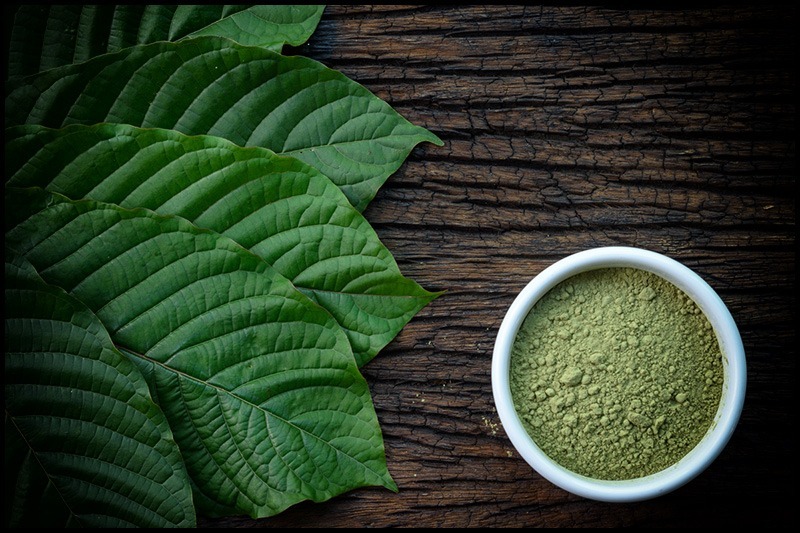 Kratom For Weight Loss: Explore Potential Benefits, Dosage, & Risks