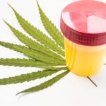 Quick Fix Synthetic Urine Product Review