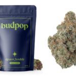 The Best THCa Flower Of 2023 Is…