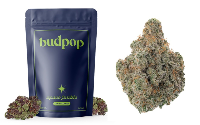 The Best THCa Flower Of 2023 Is…