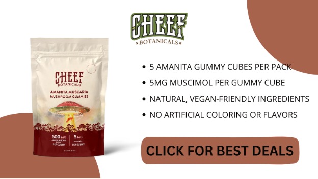 4 Best Amanita Mushroom Gummies To Buy Online