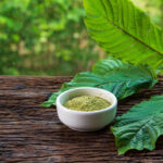 Best Kratom Brands: Top 4 Verified Kratom Vendors Reviewed