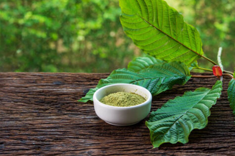 Best Kratom Brands: Top 4 Verified Kratom Vendors Reviewed - Spinfuel