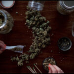 The Effect of Marijuana on Academic Performance