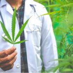 Is Weed Allowed in Casinos?