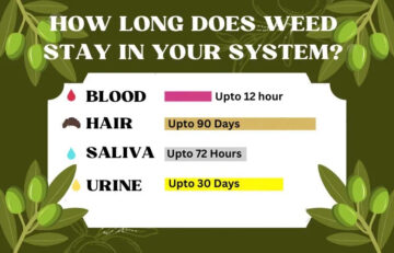How Long Does Weed Stay In Your System? Full Guide