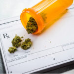 Imagine navigating through a maze. Sounds daunting, right? Now, replace that maze with the complex world of medical cannabis in Australia. With legal constraints, medical verifications, and a sea of unknowns, it can feel overwhelming. However, this guide aims to simplify that intricate maze for you. Picture this as your map to successfully acquiring medical cannabis in Hobart. Why Hobart? Well, irrespective of its quiet charm, this Tasmanian city is bit by bit becoming a hub for medical cannabis users seeking quality and compliance. With clinics like Lyphe Clinic Australia, you are not just getting a prescription; you are stepping into a world of personalised, holistic care. Now, let us cut through the chase and get you that sought-after green pass, step by step. A Step-by-Step Guide to Finding Medical Cannabis in Hobart, Australia Understand the Legal Landscape If you reside in Hobart, Australia, and are pondering the possibility of obtaining medical cannabis for a health condition, understanding the legal landscape is the first and perhaps most vital step in the process. In Australia, medical cannabis is regulated at both the federal and state levels. The Therapeutic Goods Administration (TGA), a branch of the Australian Government Department of Health, oversees the approval and regulation of therapeutic goods, including medical cannabis. However, Tasmania has its state-specific laws and requirements you need to consider. Navigating this legal maze can be confusing. Multiple regulatory bodies, such as the Office of Drug Control (ODC) and the Tasmanian Government Department of Health, come into play. Each of these organisations has its guidelines and paperwork, and yes, this can feel overwhelming. This is where health providers like Lyphe Clinic Australia can help guide you through the process. Their team has expertise in the regulatory aspects and can offer clear, concise advice to move you along the right path. Having an accurate understanding of the legal landscape will save you time and unnecessary stress. It also gives you a clear pathway to move forward. Lyphe Clinic Australia has a comprehensive healthcare team trained in medical cannabis, who keep themselves updated on any legal changes, thereby ensuring you are always compliant with current laws. From your eligibility to what paperwork you require and how to fill it, these professionals can guide you every step of the way. Determine Eligibility Eligibility is a crucial word when it comes to medical cannabis. In essence, not everyone can just walk in and claim a prescription. The Australian government maintains a roster of endorsed medical conditions eligible for the consideration of medical cannabis, including chronic pain, epilepsy, and certain types of anxiety and depression. In Tasmania, like other states, you will need to get the nod from healthcare professionals to proceed with your application. Lyphe Clinic Australia streamlines the eligibility process. With a comprehensive initial screening and consultation, the healthcare team helps you determine if you are a suitable candidate for medical cannabis. The eligibility criteria are clearly laid out, removing the ambiguity that often accompanies such assessments. They not only review your current medical condition but also take into consideration your medical history, making the process transparent and straightforward. Get a Consultation Once you are confident about your eligibility, the next logical step is to consult with a medical professional. This is a pivotal part of the process as the consultation is where you will discuss your health conditions in detail. Thanks to modern technology, Lyphe Clinic Australia offers telehealth services, allowing you to consult with General Practitioners (GPs) and nurses from the comfort of your own home. It is a hassle-free experience that removes the anxiety of hospital visits and long queues. The consultation is not just about discussing your ailments. It is about developing a relationship with your healthcare provider. Lyphe Clinic Australia offers an initial consultation for $129, providing quality healthcare that is accessible and affordable. This session is an open dialogue where you can ask questions, express concerns, and lay the foundation for your treatment plan. Procure Your Prescription Obtaining a prescription for medical cannabis is not a straightforward affair. This is not your average over-the-counter (OTC) medicine, after all. Each prescription is tailored to meet the individual needs of the patient, considering multiple variables like your specific health condition, the severity of symptoms, and any other medications you might be taking. Lyphe Clinic Australia excels in creating customised prescriptions that align with your health status. Once you have gone through the consultation and your healthcare provider has all the necessary information, you will receive your prescription. However, do always remember that this is only a part of the journey. You will need to fill this prescription at an authorised dispensary, another step where Lyphe Clinic Australia's comprehensive healthcare model comes to your assistance. Begin the Treatment Finally, once you have navigated the legalities, confirmed your eligibility, consulted a healthcare provider, and procured your prescription, it is time to start your treatment. The first thing to understand here is that medical cannabis is a treatment journey. In other words, it is not an instantaneous solution. Depending on your condition, you may require ongoing adjustments to your medication type or dosage, regular follow-ups, and perhaps even additional treatments to manage symptoms effectively. Lyphe Clinic Australia offers robust post-treatment support, with follow-up consultations priced at $69 and script rewrites for $39. They are there to guide you through the entire treatment lifecycle, monitoring your progress and making adjustments as needed. Their holistic approach to patient care ensures that you are not just receiving medication but a comprehensive healthcare solution that aims to improve your quality of life. The Bottom Line Thus, you see, it is not about cutting through a jungle with a machete. Rather, it is about having the right guide and the right set of tools. Meanwhile, if you ever find yourself in Hobart, Lyphe Clinic Australia offers you just that - a reliable guide through your medical cannabis journey. Their holistic approach ensures you are not just another name on a prescription pad but an individual receiving personalised, thorough care. With that in mind, if you are considering medical cannabis as a treatment option, why wander around in confusion? Take a well-informed step forward. Are you ready to explore medical cannabis treatment in Hobart with professional guidance? Check out their website for more information and start your journey toward holistic well-being.