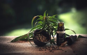 The Rise of CBD: Understanding Quality in the Expanding Marketplace