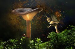 Using Magic Mushrooms in Modern Psychiatry 2023 Updated Report