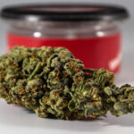 Business is booming for many cannabis sellers across the country as more states ease restrictions. Just this year, Delaware has been added to a growing list of states that have decided to allow the sale and consumption of legal marijuana. If you belong to such states and are looking to capitalize on this growing industry, keep in mind that it's not as easy as it looks. Recreational weed might still be legal, but there are still strict regulations to abide by if you want to stay in business. The increasing number of specialty stores and dispensaries is also another factor you might want to consider. To survive in this sector, you need to be equipped with the right knowledge. Here are five tips to consider for building a thriving weed business: 1. Choose a niche you're comfortable with There are hundreds of niches to choose from as you enter the playing field. From edibles to marketing services that cater to small businesses in the industry, you need to choose a niche you're already familiar with. The least you could do is to jump in on a new trend just because it's profitable. Experience trumps everything else if you want to succeed in the industry, so come up with a business concept that's up your alley and build your weed business from there. 2. Create a solid business plan Success in the weed industry doesn’t start with choosing a good niche. Just like any other entrepreneurial idea, you need a business plan to help you flesh out your concept. Draft out a mission statement and consider the values you hold dear as both a business leader and weed enthusiast. It's also important to lay down what you want to contribute to cannabis culture and how you want them to make an impact. A detailed business plan like that will guarantee your survival even in the first few weeks of starting your business. 3. Review cannabis laws in your community The fact that your state has allowed recreational marijuana isn't a guarantee that you won't be collared by authorities. It's always important to read the fine print before you start ordering raw materials and equipment as well as selling cannabis-based products and services in your area. Washington D.C., for instance, allows individuals to use weed on their private property. This has prompted the need for a trusted delivery service that carries different wee-based products, from vape cartridges to baked goods. That being said, do your research and make sure your business aligns with the laws in your city and the needs of the local market. 4. Craft a unique identity Given that there are so many cannabis businesses out there and many more are sprouting, investing in an effective marketing strategy will help you capture a good chunk of the market. Don’t just rely on word-of-mouth and flyers. Use social media platforms to market your products and build an online store where consumers can browse your best offers. More importantly, make sure your brand comes off as original with a unique value proposition. That will get more people to buy from you! Endnote If you’re planning a legal cannabis business anytime soon, it won’t be an uphill battle so long as you go through the necessary steps.