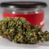 Business is booming for many cannabis sellers across the country as more states ease restrictions. Just this year, Delaware has been added to a growing list of states that have decided to allow the sale and consumption of legal marijuana. If you belong to such states and are looking to capitalize on this growing industry, keep in mind that it's not as easy as it looks. Recreational weed might still be legal, but there are still strict regulations to abide by if you want to stay in business. The increasing number of specialty stores and dispensaries is also another factor you might want to consider. To survive in this sector, you need to be equipped with the right knowledge. Here are five tips to consider for building a thriving weed business: 1. Choose a niche you're comfortable with There are hundreds of niches to choose from as you enter the playing field. From edibles to marketing services that cater to small businesses in the industry, you need to choose a niche you're already familiar with. The least you could do is to jump in on a new trend just because it's profitable. Experience trumps everything else if you want to succeed in the industry, so come up with a business concept that's up your alley and build your weed business from there. 2. Create a solid business plan Success in the weed industry doesn’t start with choosing a good niche. Just like any other entrepreneurial idea, you need a business plan to help you flesh out your concept. Draft out a mission statement and consider the values you hold dear as both a business leader and weed enthusiast. It's also important to lay down what you want to contribute to cannabis culture and how you want them to make an impact. A detailed business plan like that will guarantee your survival even in the first few weeks of starting your business. 3. Review cannabis laws in your community The fact that your state has allowed recreational marijuana isn't a guarantee that you won't be collared by authorities. It's always important to read the fine print before you start ordering raw materials and equipment as well as selling cannabis-based products and services in your area. Washington D.C., for instance, allows individuals to use weed on their private property. This has prompted the need for a trusted delivery service that carries different wee-based products, from vape cartridges to baked goods. That being said, do your research and make sure your business aligns with the laws in your city and the needs of the local market. 4. Craft a unique identity Given that there are so many cannabis businesses out there and many more are sprouting, investing in an effective marketing strategy will help you capture a good chunk of the market. Don’t just rely on word-of-mouth and flyers. Use social media platforms to market your products and build an online store where consumers can browse your best offers. More importantly, make sure your brand comes off as original with a unique value proposition. That will get more people to buy from you! Endnote If you’re planning a legal cannabis business anytime soon, it won’t be an uphill battle so long as you go through the necessary steps.