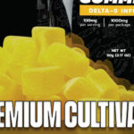 Are Delta 9 Gummies an Effective Way to Consume Delta THC?