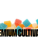 Delight Your Taste Buds with Delta 9 Gummies: Health in Candy Form!